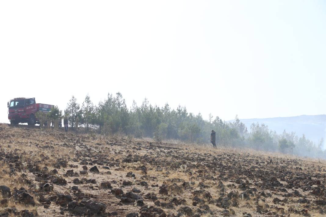 Kahramanmaraş'taki orman yangını kontrol altına alındı 11